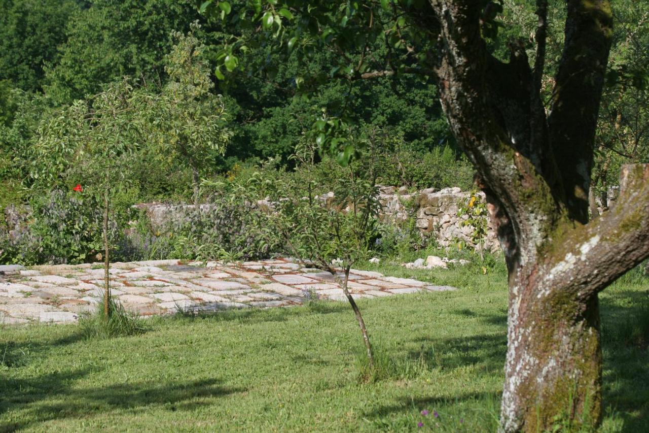 Pazo De Chaioso Ribeira Sacra Maceda 外观 照片