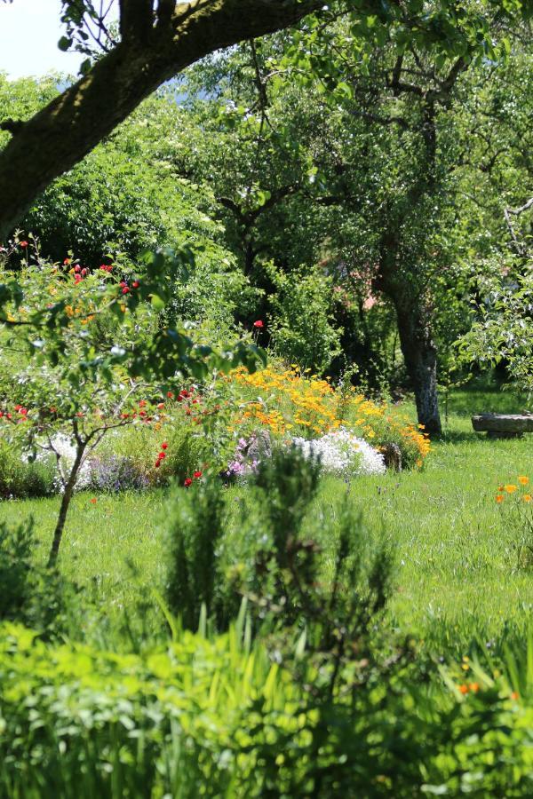 Pazo De Chaioso Ribeira Sacra Maceda 外观 照片