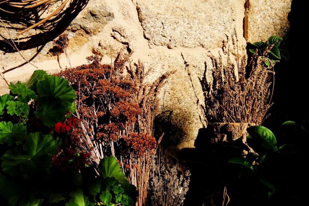 Pazo De Chaioso Ribeira Sacra Maceda 外观 照片